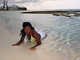Bahamian Sloane On Beach